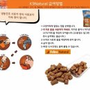 마스코타