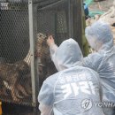 보나농장 이미지