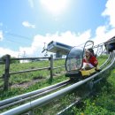 알펜시아 리조트 이미지