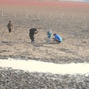 소래습지생태공원(전시관) 이미지