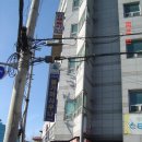 인화오벨리아 이미지