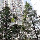 안현로서7길 이미지