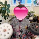 수원-0389 이미지