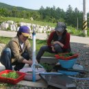 남주농장 이미지