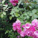 경희삼대한의원 이미지