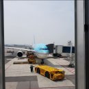 해녀와바다 이미지