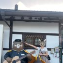 시민시장 공용 화장실(관리동) | [공주]공주여행 가성비 깔끔한 한옥 숙소 후기, 할인꿀팁 | 공주하숙마을 건넌방