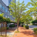 홍익빌딩 | 인천 송도동 도드람한돈 생등심 매일 튀겨 만드는 맛과 양 모두 만족한 _ 홍익돈까스 송도점