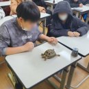 도당초등학교3 이미지