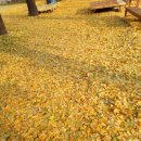 태장2동주민센터 이미지