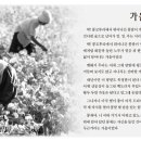 콩미당 이미지