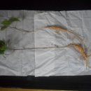 항아리농장 이미지