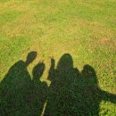 춘식이뒷고기 | [10월 일기] 골반이 멈추지 않는 10월 일상 기록