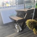 세븐일레븐 용인남사본점 이미지