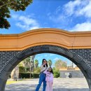 동홍동공원 | 🌅 제주도 무료 관광지 ‘서복공원’ 방문기｜가족 산책코스로 딱 좋았던 힐링 장소