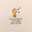 라윤 이미지