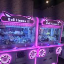 조선뽑기방 이미지