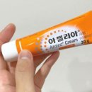 아젤리아 이미지