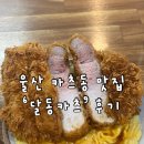 두툼한카츠 | [울산 남구 달동 맛집] 두툼한 고기 육즙에 반한 '달동카츠' 솔직 후기 (상등심 타레 카츠동)