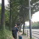 울주공연배달 2회차 | 여름 방콕 여행 1일차 | 더 수코타이 방콕 | 반쏨땀 그랩 배달 | 비타유 마사지 | 레이라오 미슐랭...