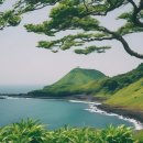 마사리(정자나무쉼터)야외운동기구 | 제주 공항 근처 연중무휴 무료 명소 13곳 총정리