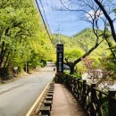 꿈에365모텔 이미지