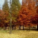 나노아이엔씨 이미지