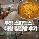 스파렉스 | [인천] 부평시장역 근처 부평 대형 찜질방 '스파렉스 부평' 후기