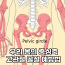 고관절 건강 골다공증과 근감소증 예방법 총정리 이미지