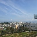 강릉시립 미술관 이미지