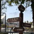 (주)이현 | 대구 샤스타데이지 명소 이현공원 데이지 실시간, 그린웨이장미원 주차 방문 후기