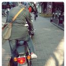 셀스타트 이미지