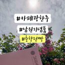 주정차063 이미지