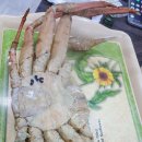 하이벳수산 이미지