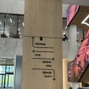 두정도서관 문화강좌실 | 남구 가볼만한곳 대구 도서관, 아이랑 다녀온 솔직 후기