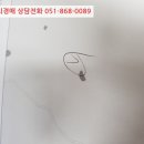 포항시북구58 이미지