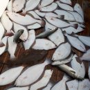 해오름호 이미지