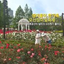 남부공원 | 5월 경기남부 오산 가볼 곳 고인돌공원 : 오산장미빛축제 주말 방문후기