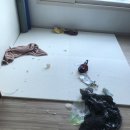 슈몽슈몽 이미지