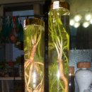 (주)야생 이미지