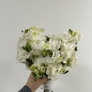화이트 페어리 | 웨딩촬영 부케 추천, 오렌아뜰리에 생화 프리지아 + 플로리페어리 조화 후기