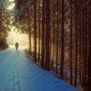 호수공원수변공원 | 양산 차박 여행지 TOP 10, 숨겨진 명소부터 인생샷 명소까지 당신이 몰랐던 진짜 차박지!