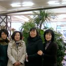 조옥꽃예술원