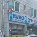 경숙이식당 | 디그니티호텔 : 강원도 양양 스위트 더블 숙박후기(조식, 치즈플래터)