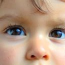 더채움 행정사사무소 이미지