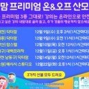 원더버디
