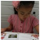 그림동화 만세 이미지