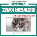 에일메디칼 이미지