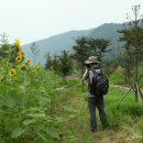 해바라기발전소 이미지