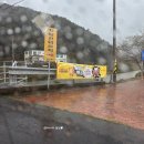 남해성판소리공연 | 2025 독일마을 맥주축제 참여 후기, 주차, 셔틀, 맥주 추천